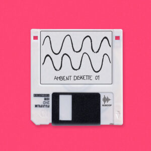 Ambient Diskette 01