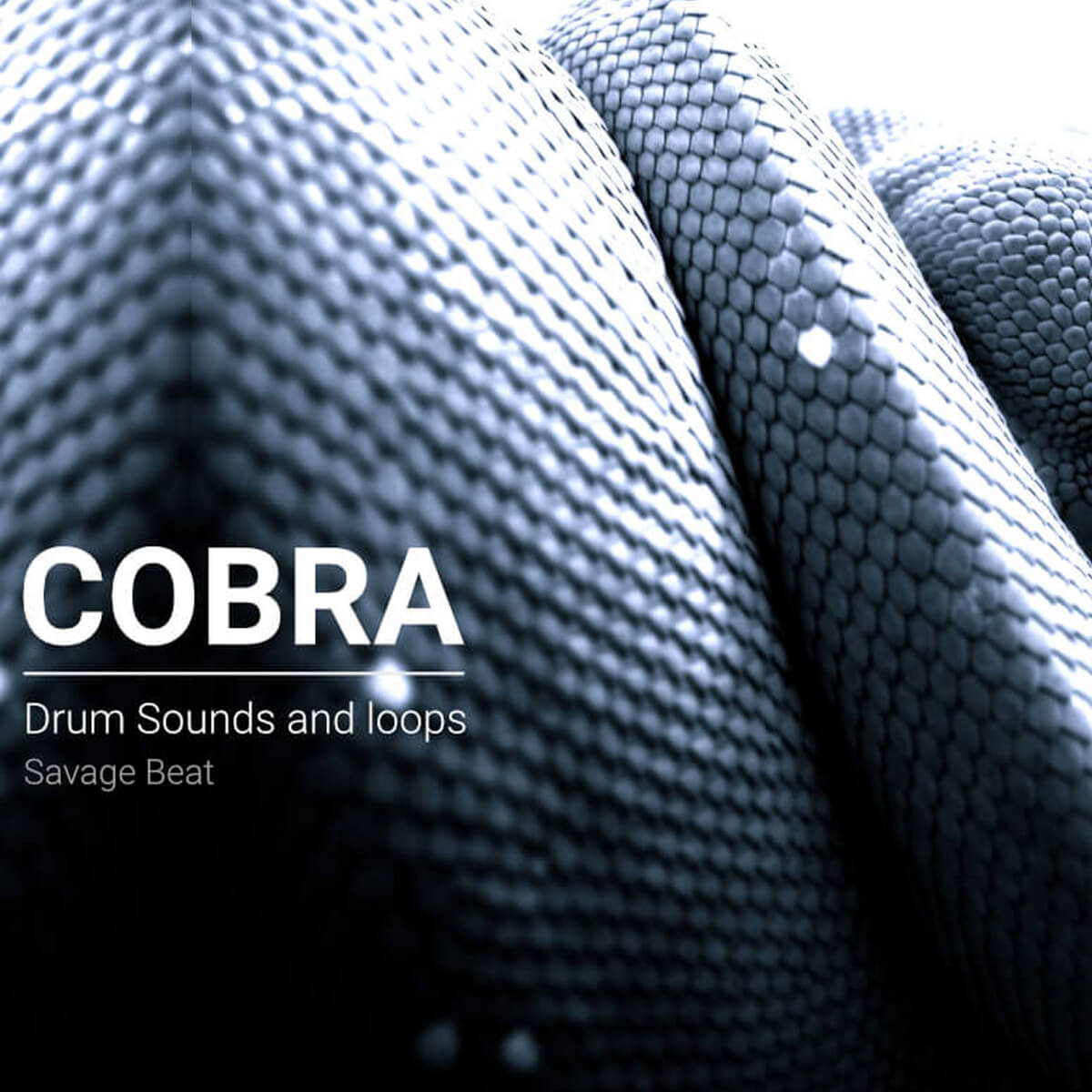 Cobra Drum Kit