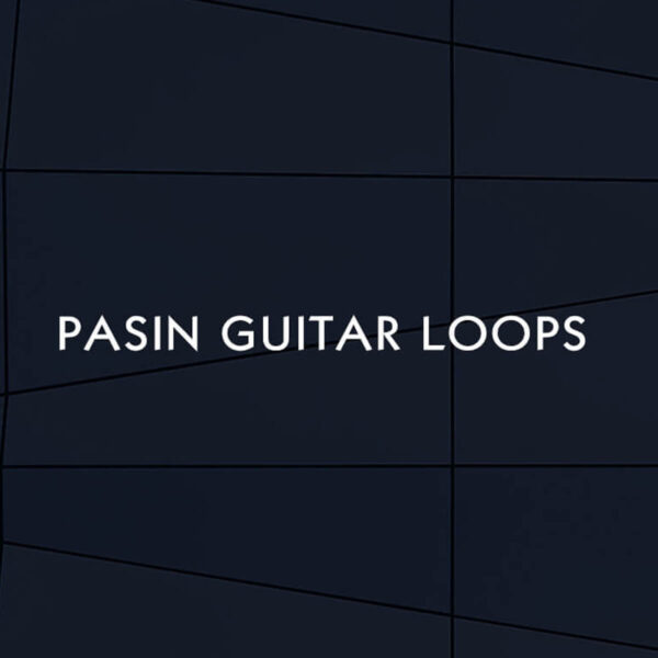 Pasin Guitar Loops