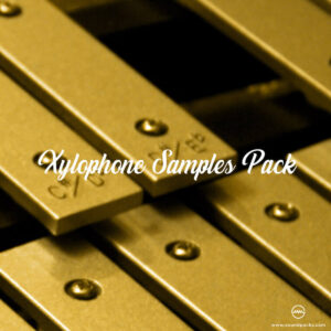 Xylophone Samples Pack